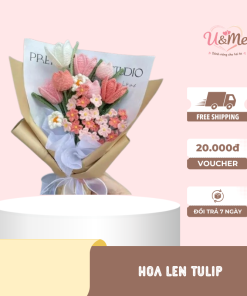 hoa len Tulip