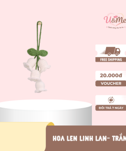 hoa linh lam trắng